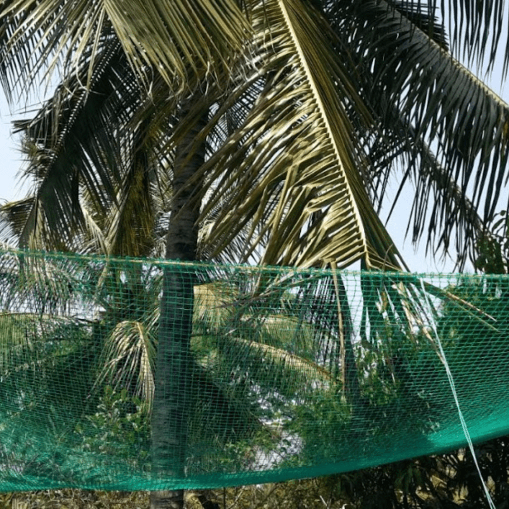 coconut tree safety nets