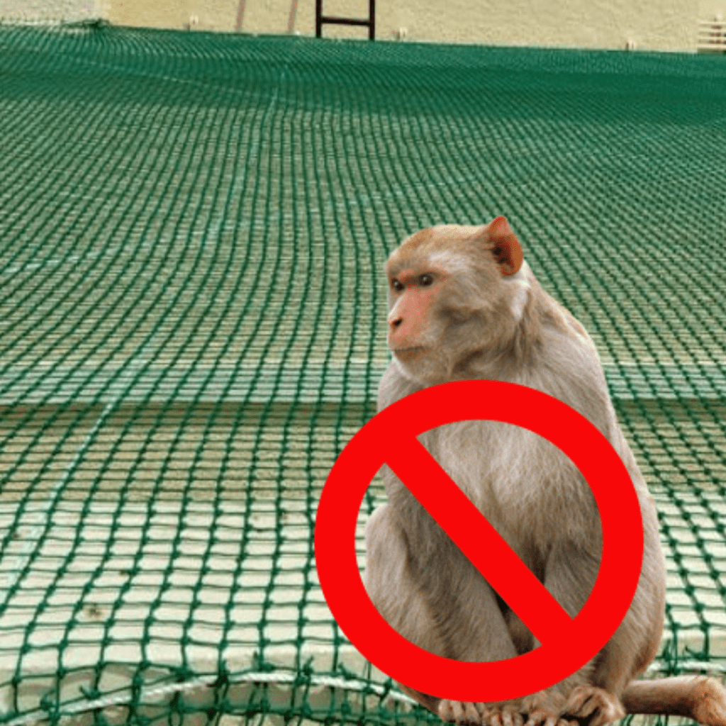 monkey safety nets